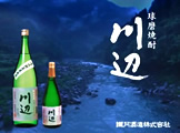 KAWABE CM movie2006